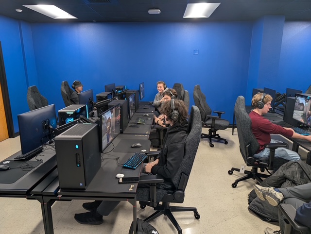 The Digital Arena